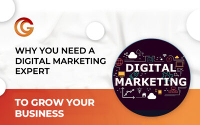 Why You Need a Digital Marketing Expert to Grow Your Business